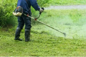 Best Compound Grass Cutting Services