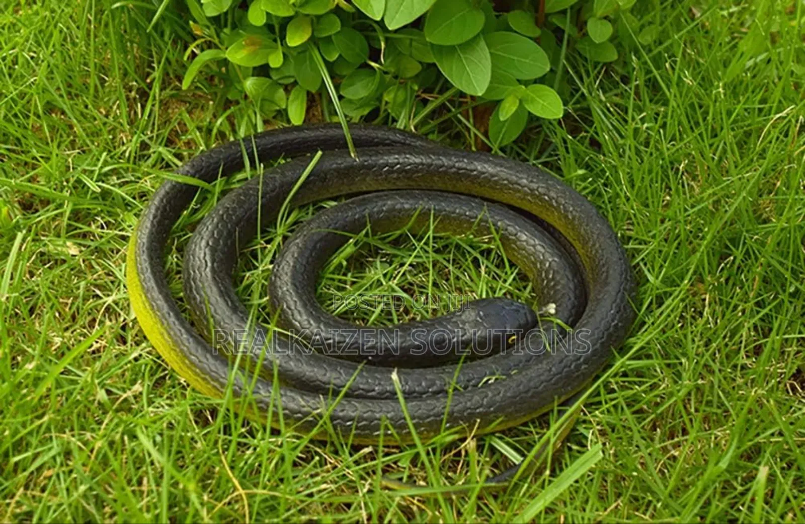 Realistic Fake Rubber Toy Snake for Halloween |Funny Pranks