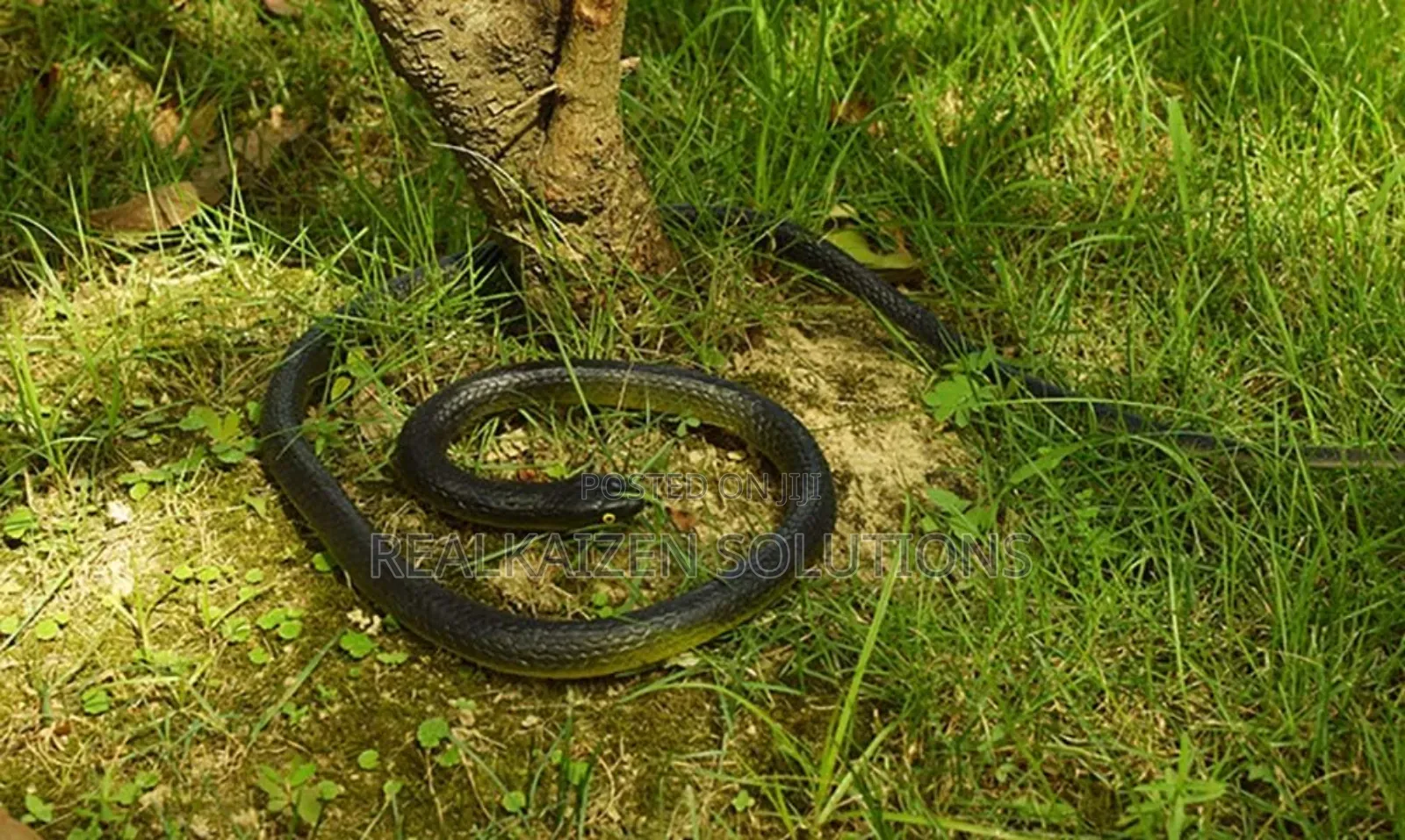 Realistic Fake Rubber Toy Snake for Halloween |Funny Pranks