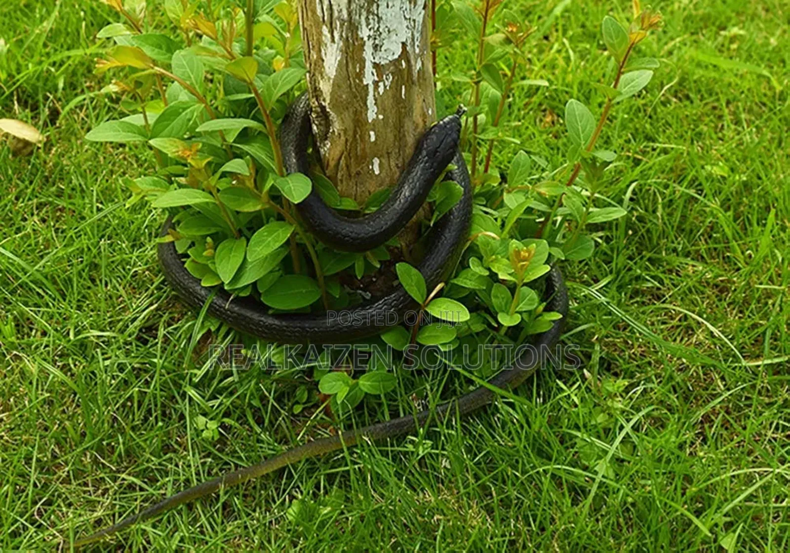 Realistic Fake Rubber Toy Snake for Halloween |Funny Pranks