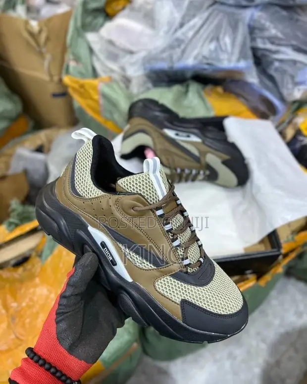 Iconic Dior B22 Brown Sneakers in Central Division Shoes, Pilot