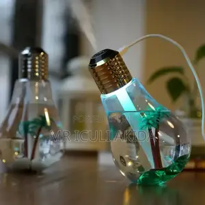 Fancy Bulb Led Humidifier With Classy Night Light Exposure