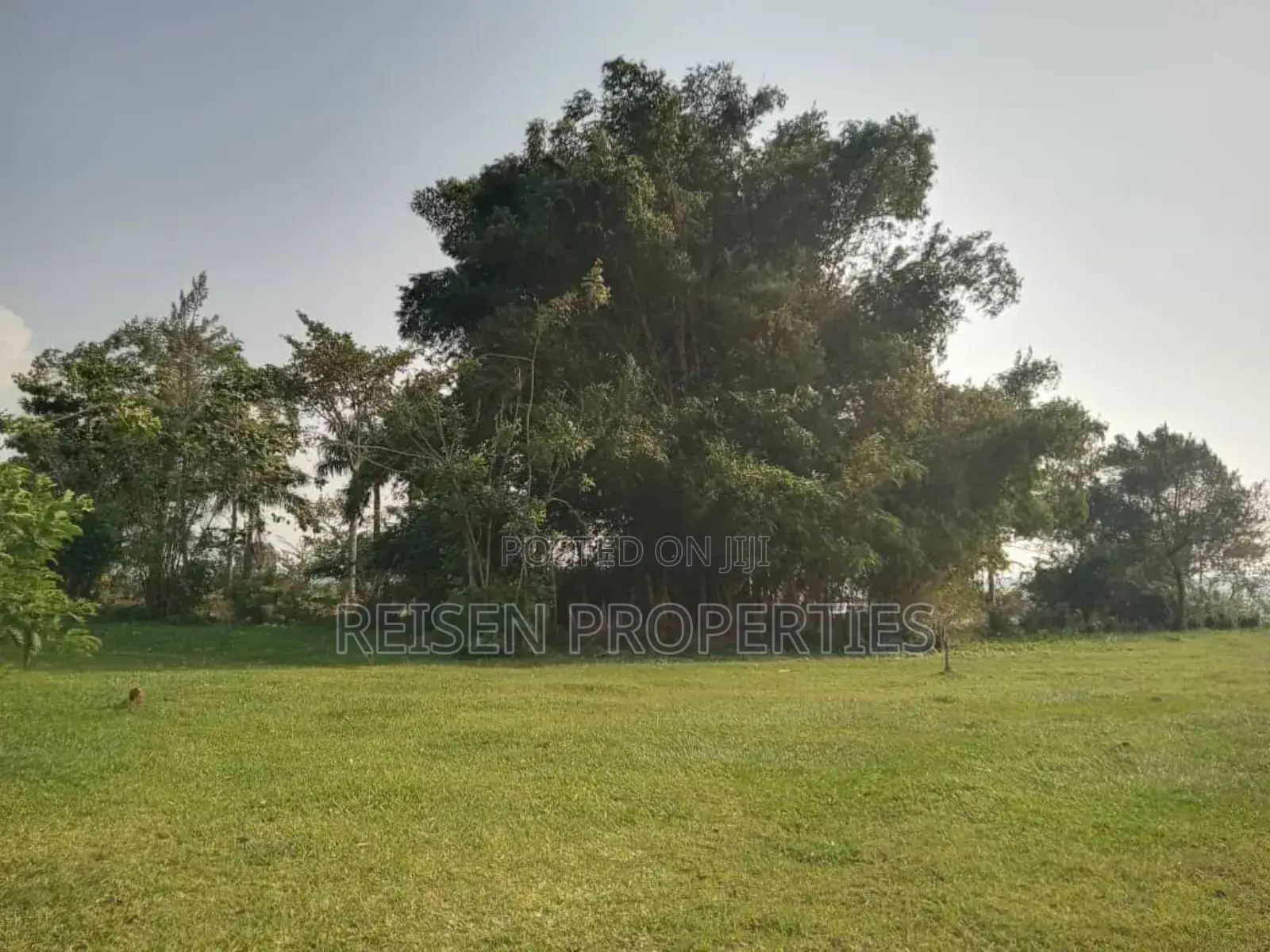 Lake Front Land on Sale in Entebbe Kawuku