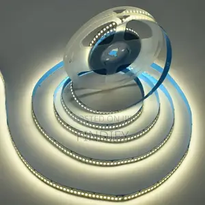 Mini 12v Led Strip Light Leds 5M IP65 Waterproof Warm White