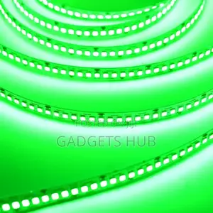 Mini 12v Led Strip Light Leds 5M 1P65 Waterproof Green Color