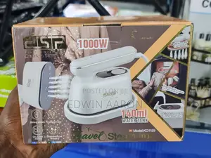 DSP Travel Steam Iron