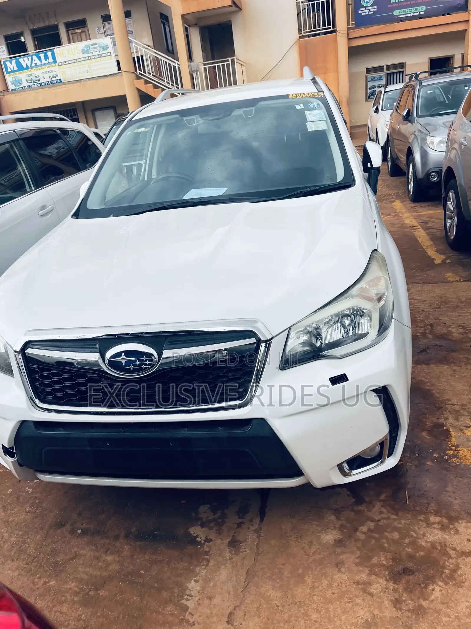 Subaru Forester 2.0XT Premium 4dr SUV AWD (2.0L 4cyl Turbo CVT) 2015