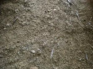Local Chicken Manure