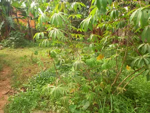 Namugongo 32decimals on Sale