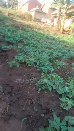 Photo - Land With an Incomplete House for Sale, Quick Cash Needed