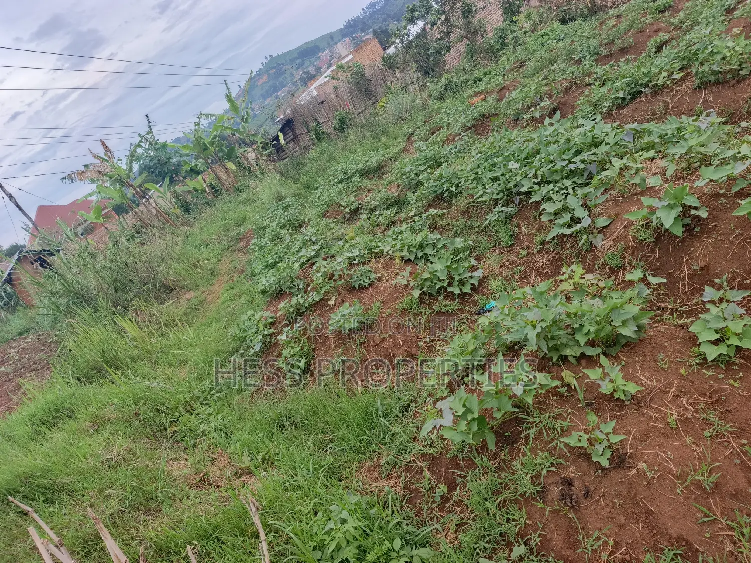 11decimal of Land on Sale Located in Rugombe