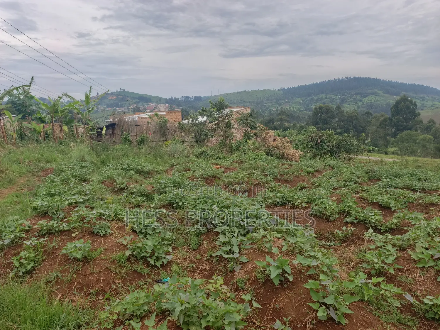 11decimal of Land on Sale Located in Rugombe