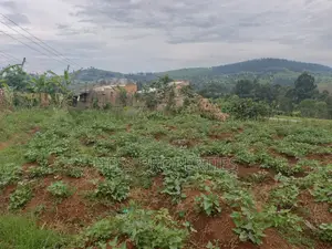 11decimal of Land on Sale Located in Rugombe