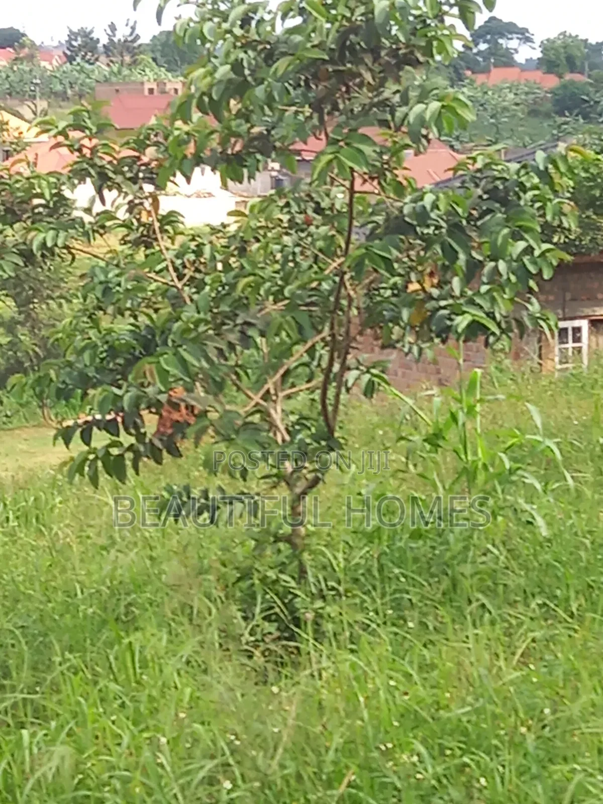 Namugongo Few Plots Left in Thus Estate