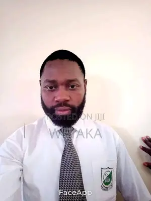 Primary School Mathematics Teacher