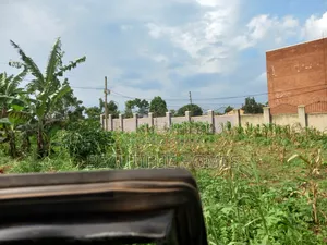 Namugongo Plots of Land on Fast Sale
