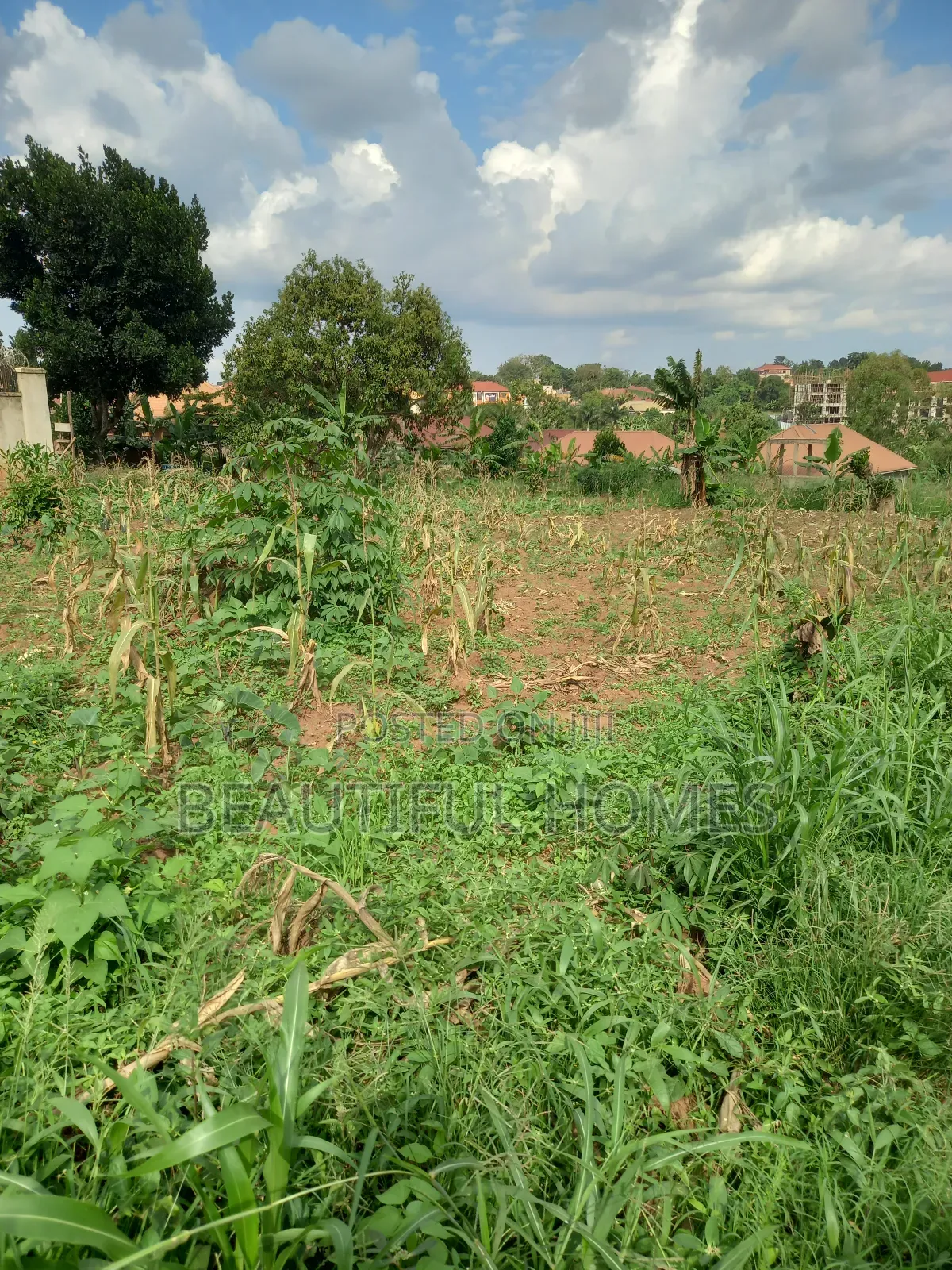 Plots in Namugongo Near Main Road on Sale