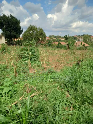 Plots in Namugongo Near Main Road on Sale