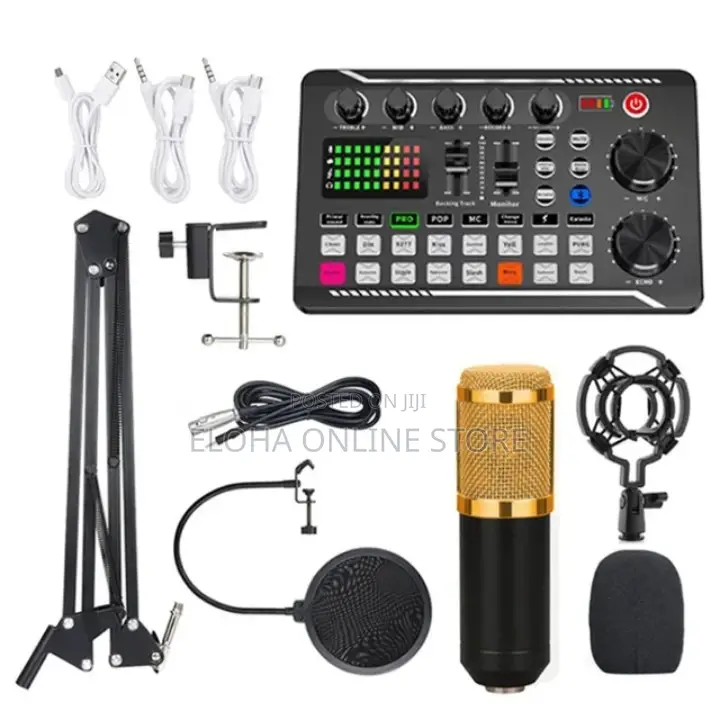 Multifunctional Recording Microphone Condenser