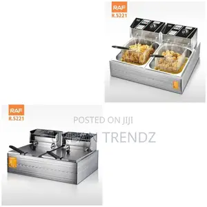 RAF 11 Litre Automatic Commercial 5.5L Electric Deep Fryer