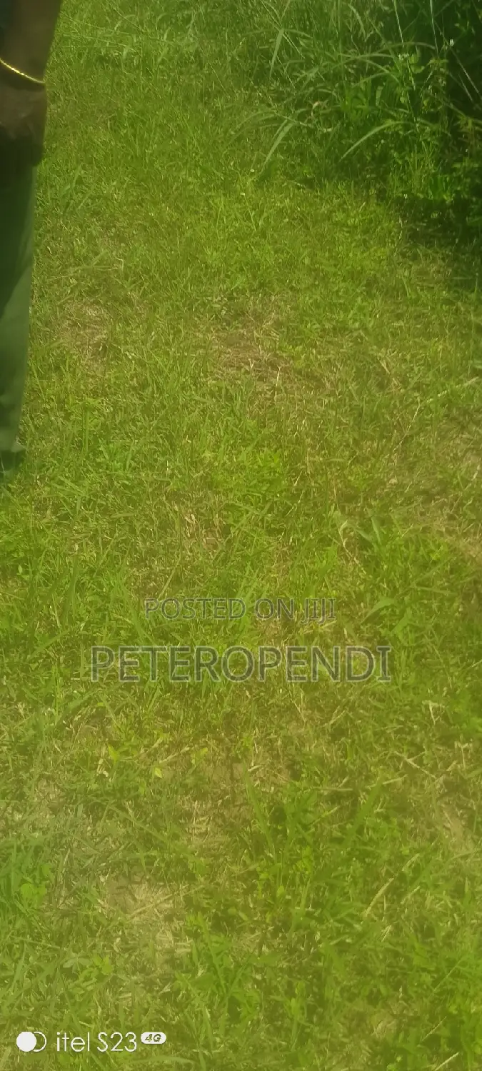 30 Decimals Wall Fenced Plot in Kirinya