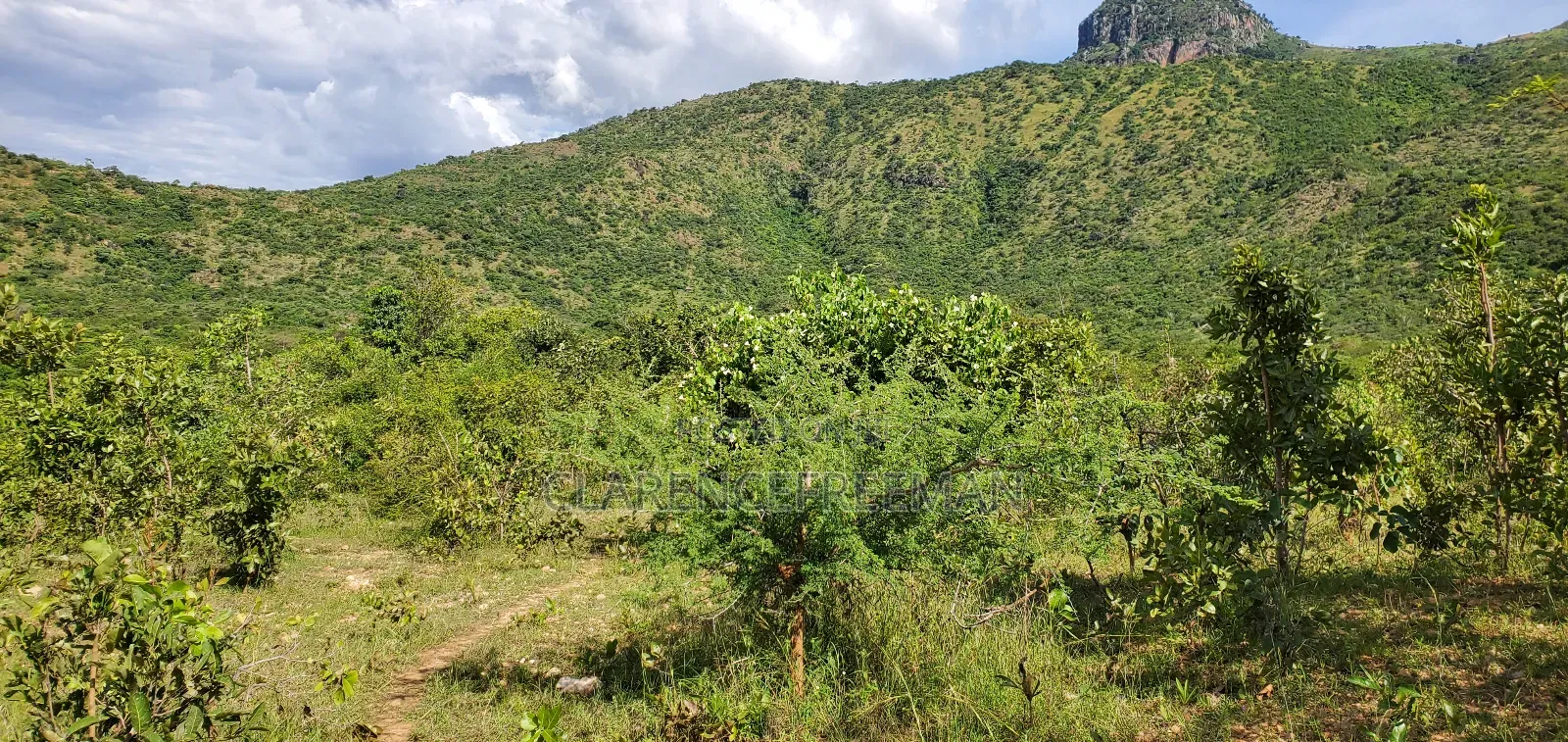 10 Acres Gold Land With Good Deposits, Visible Veins