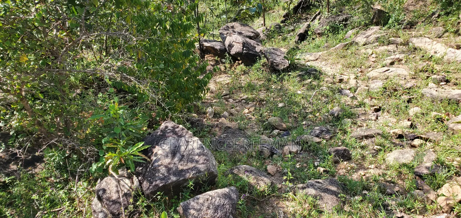 10 Acres Gold Land With Good Deposits, Visible Veins