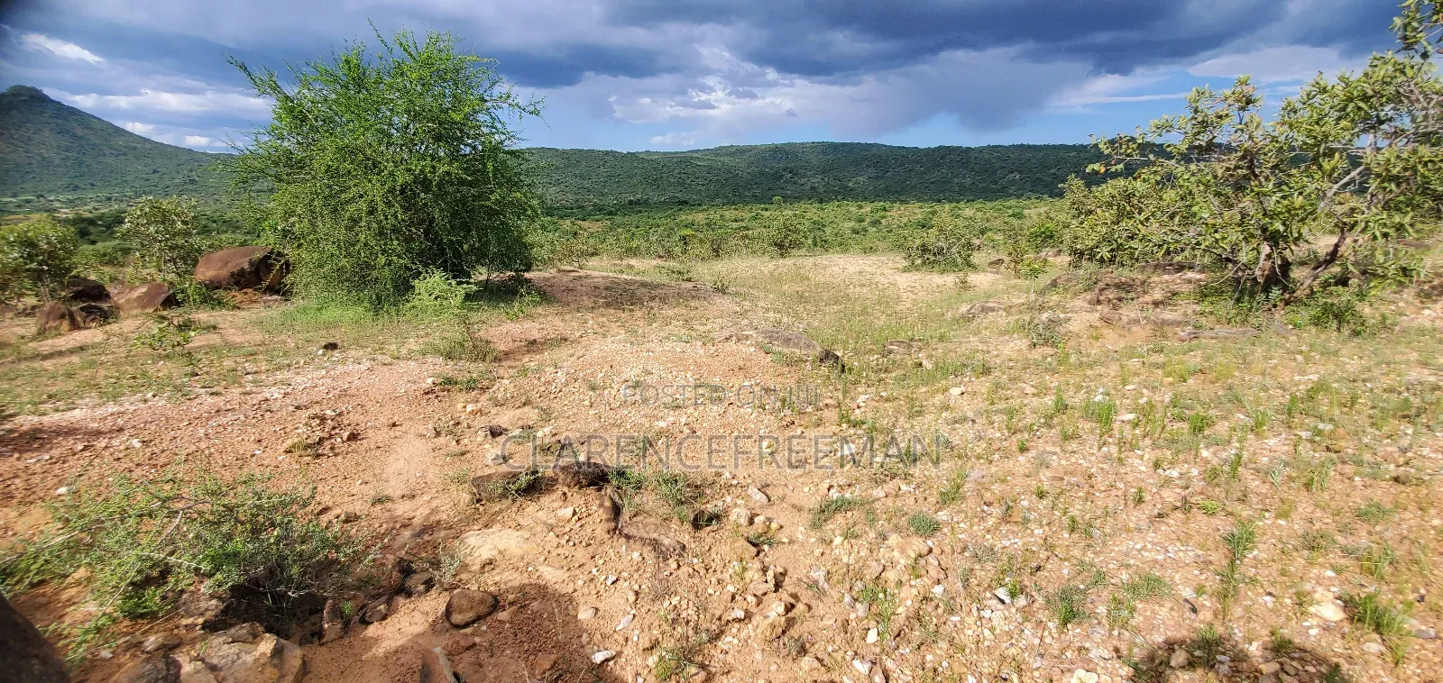 10 Acres Gold Land With Good Deposits, Visible Veins