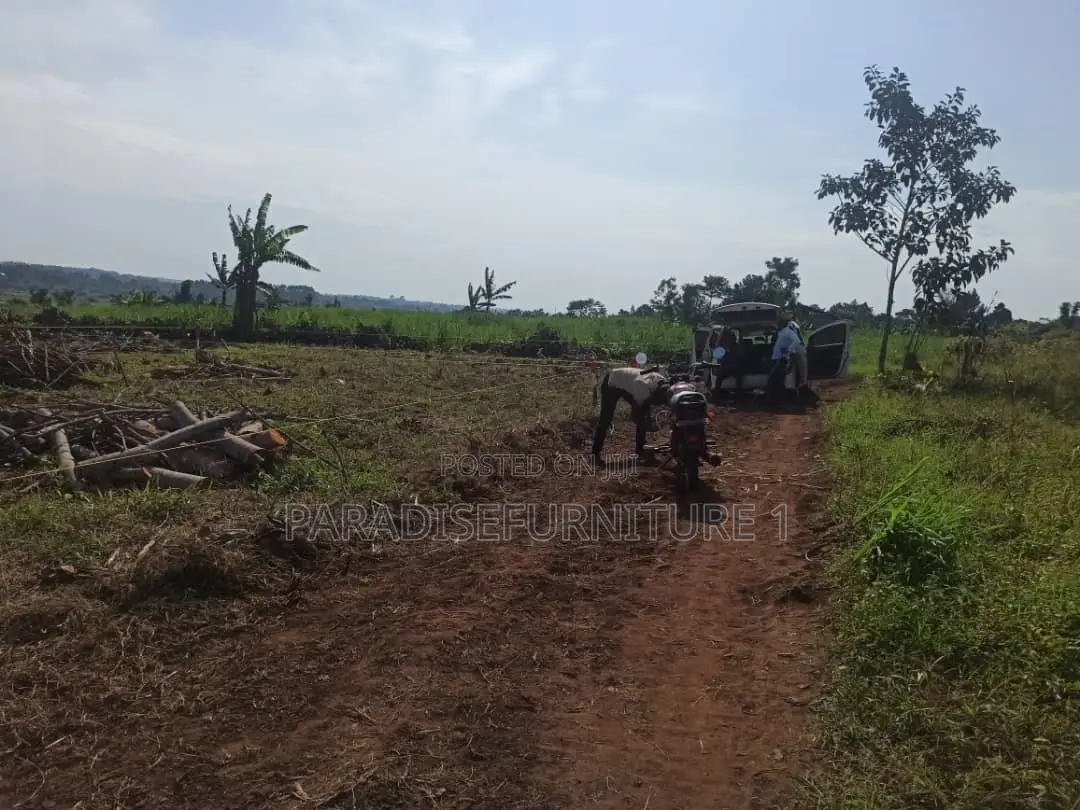 25 by 50 Ft Farm Land
