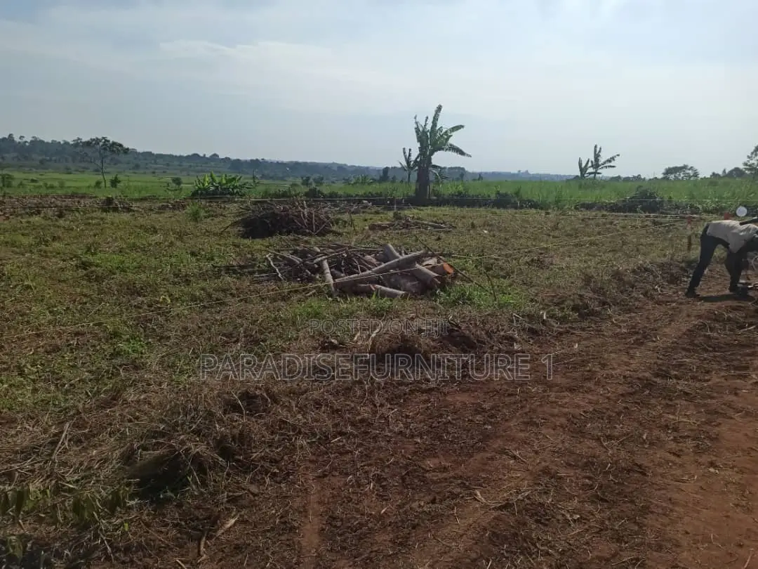 25 by 50 Ft Farm Land