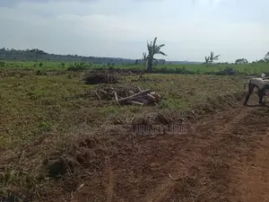 25 by 50 Ft Farm Land