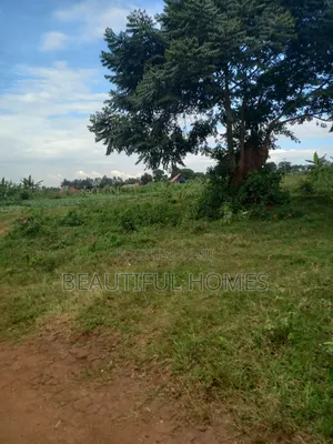 Nakwero Home Plots on Sell