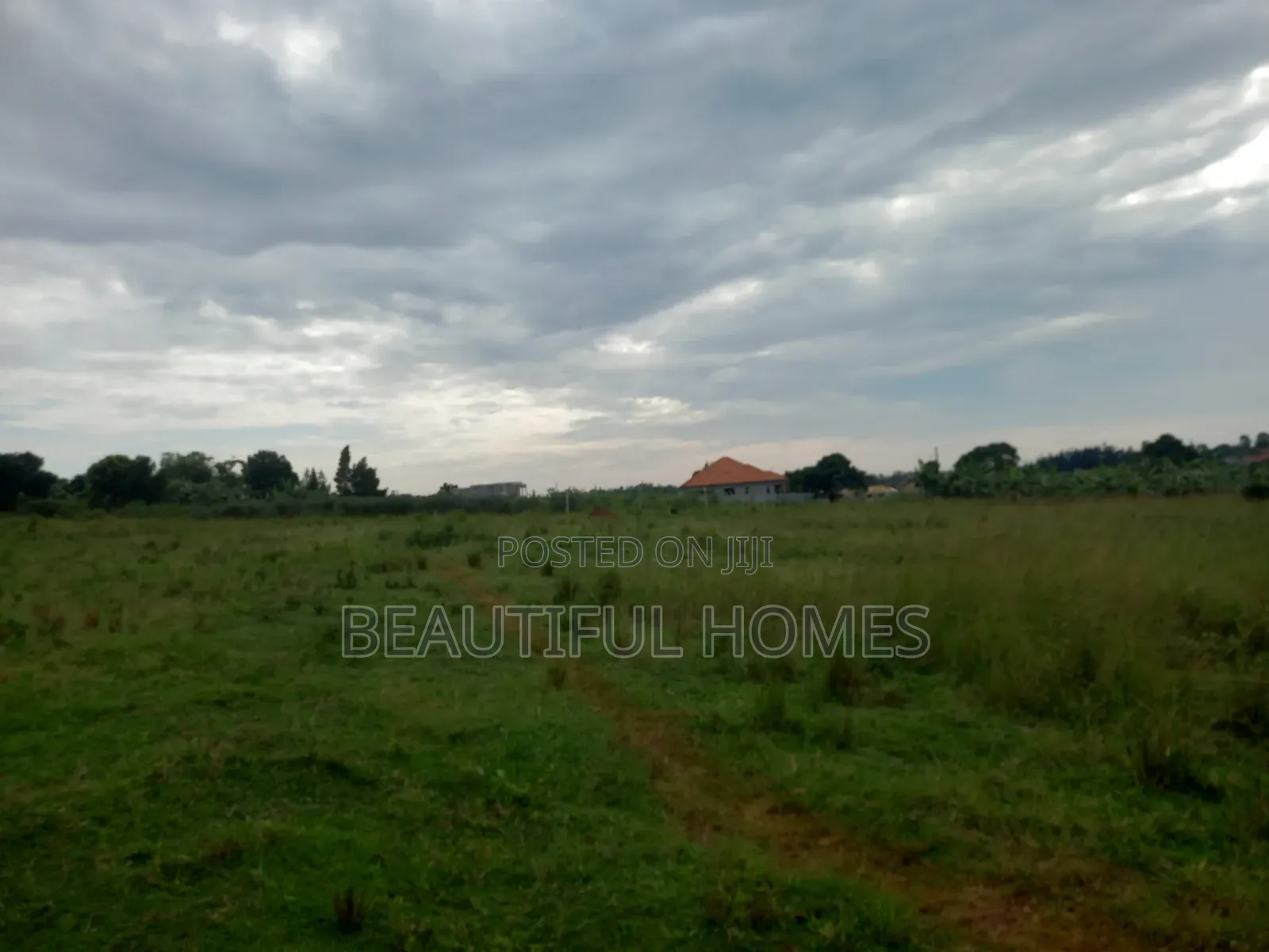 In Nakwero,Plots Up on Sell