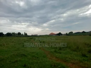 In Nakwero,Plots Up on Sell