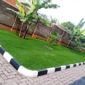 Hybrid Paspalum Grass and Natural Grass Carpet 1
