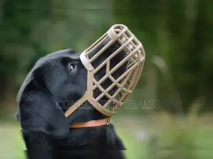 Quality Dog Muzzle