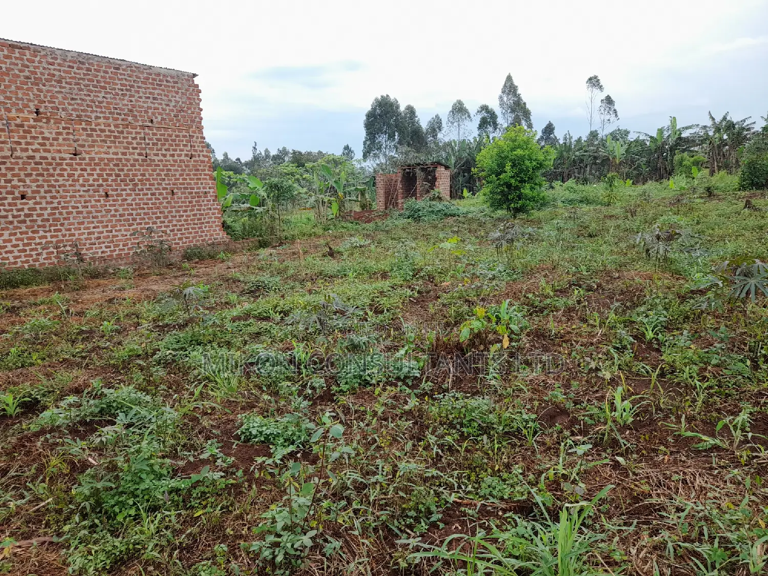 25 by 50 FTS Plot in Matuga Sanga on Sale