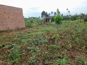 25 by 50 FTS Plot in Matuga Sanga on Sale