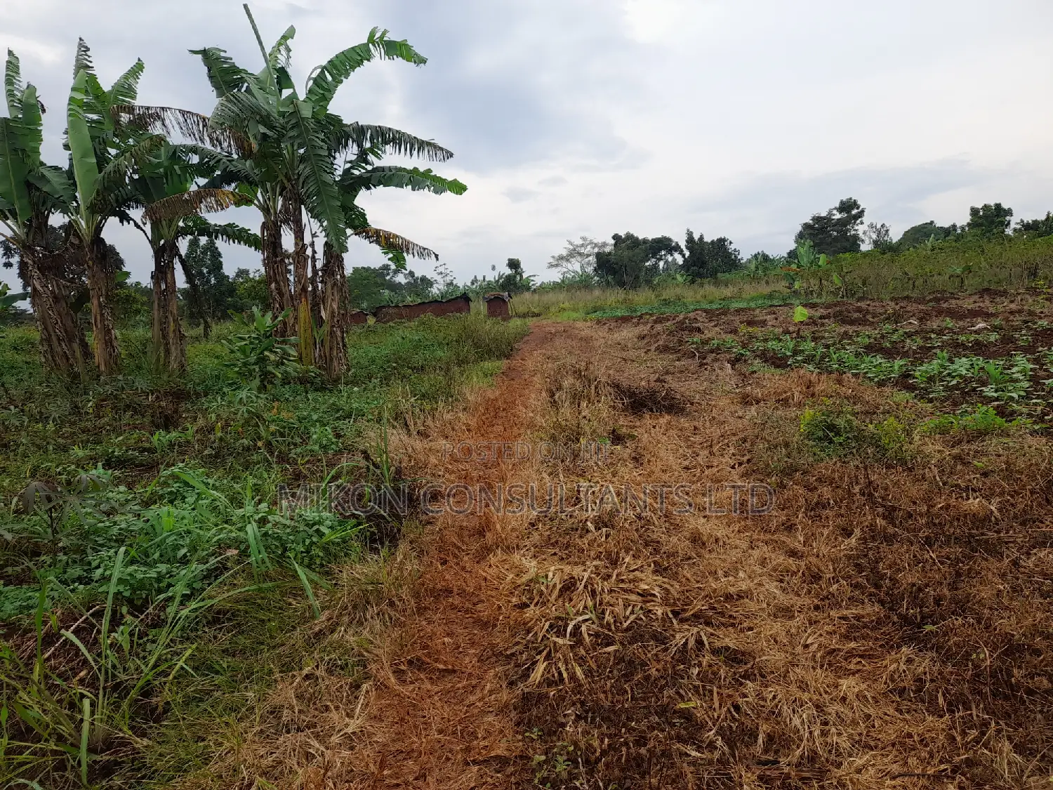 25 by 50 FTS Plot in Matuga Sanga on Sale