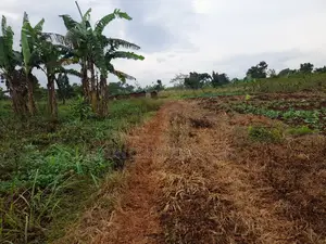 25 by 50 FTS Plot in Matuga Sanga on Sale