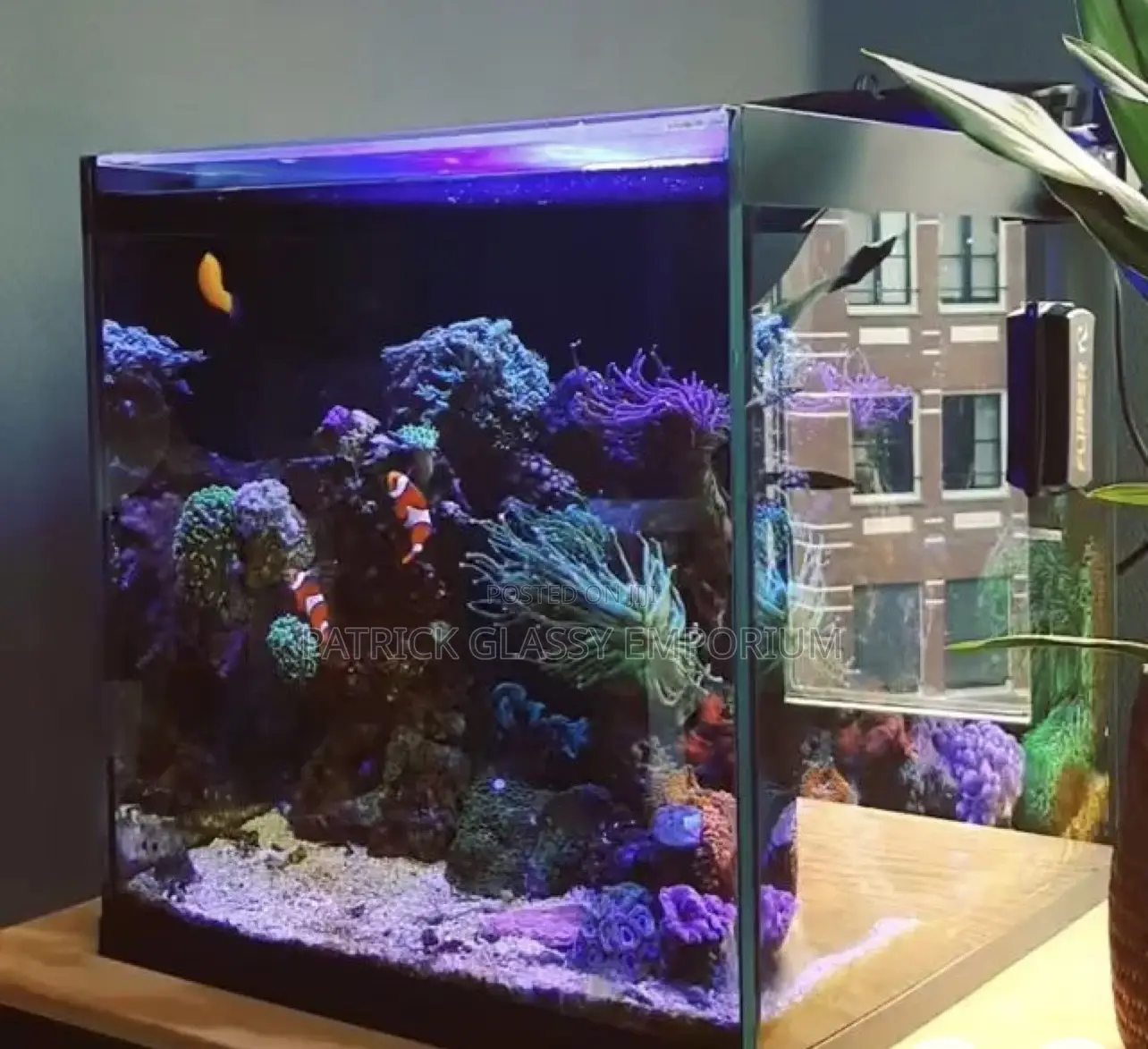 Fish Podium