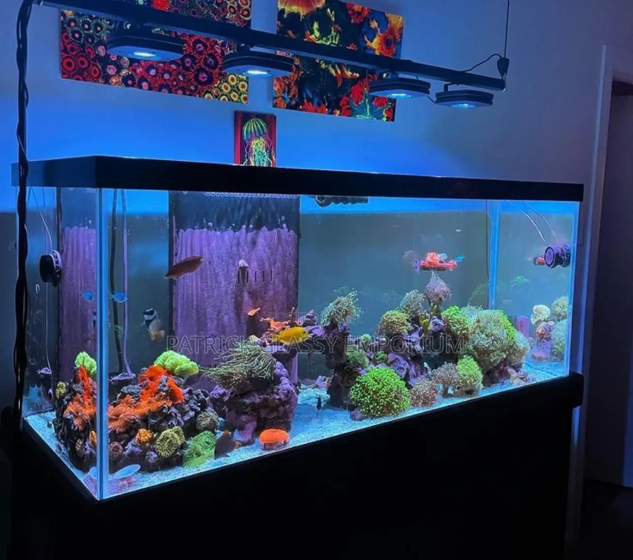 Fish Podium