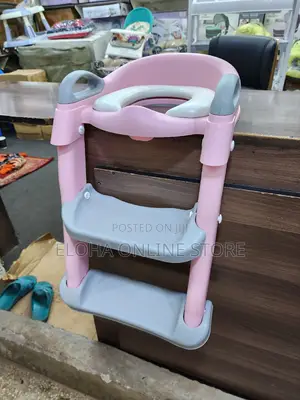 Kids Toilet Training Seat/Ladder