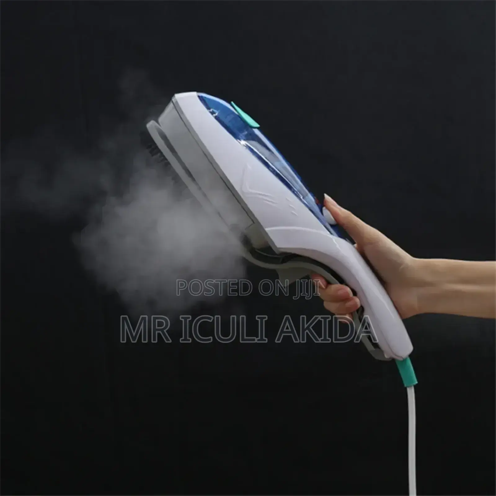 Portable Handheld Garment Steamer Brush Iron