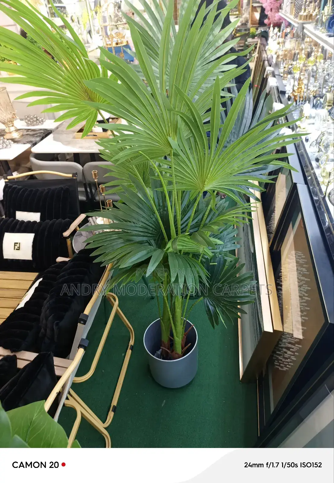 Artificial Plant 