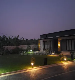 Garden Lights
