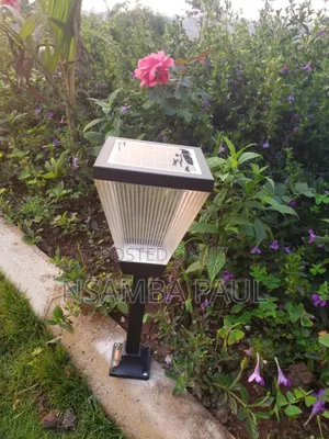 Garden Lights