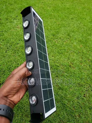Garden Lights