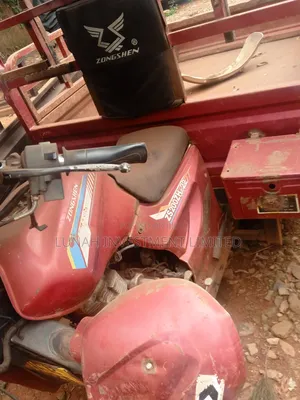 Tricycle 2021 Red
