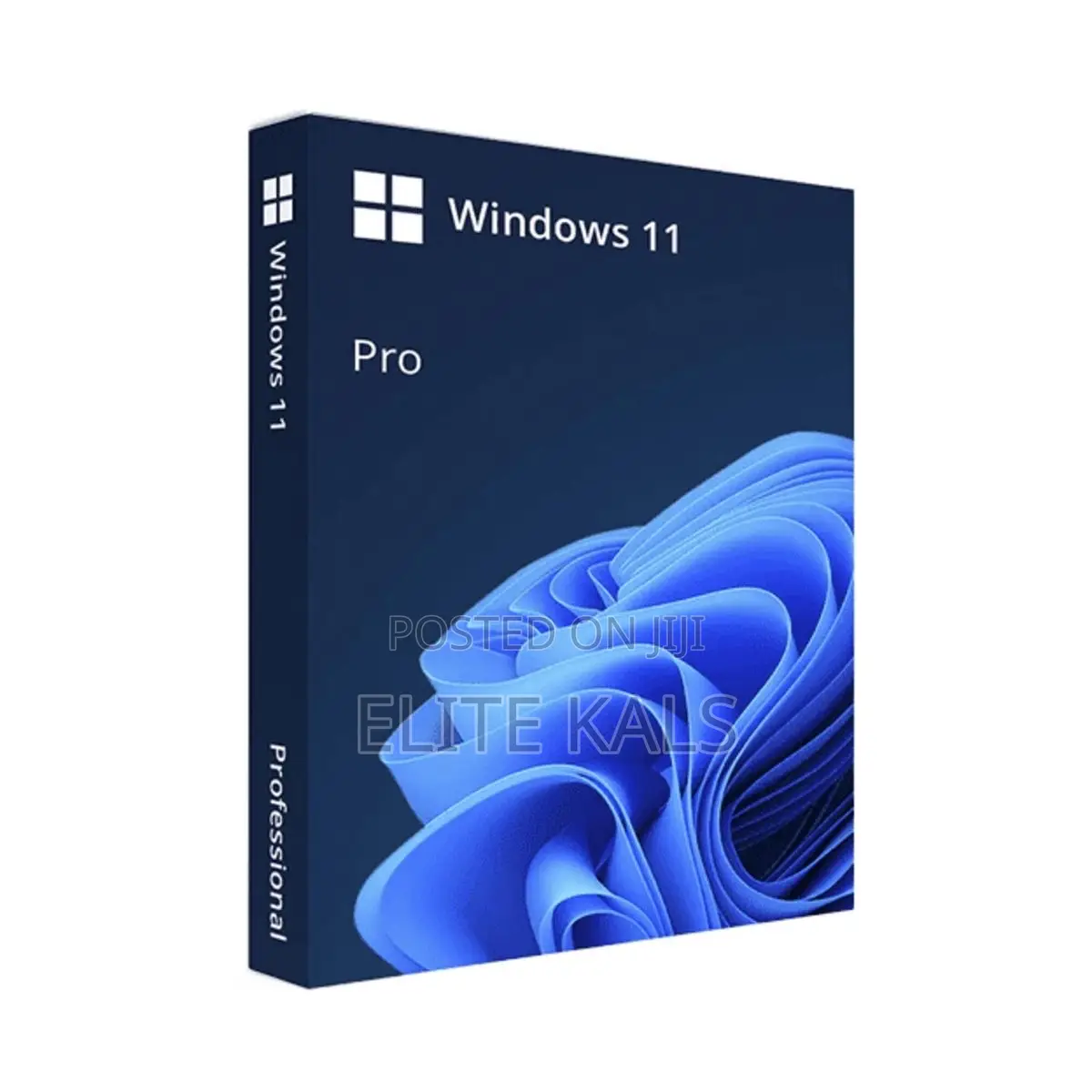 Windows Installation at Your Workplace